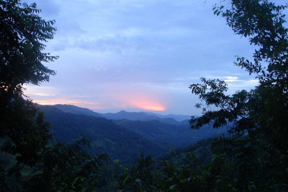 Ella Jungle Inn Kahatamaditta Exterior foto
