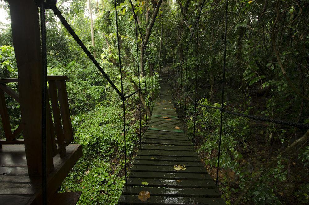 Ella Jungle Inn Kahatamaditta Exterior foto
