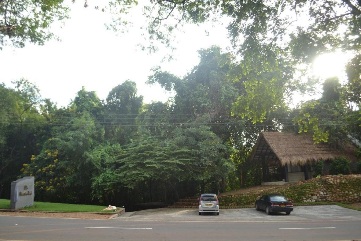 Ella Jungle Inn Kahatamaditta Exterior foto